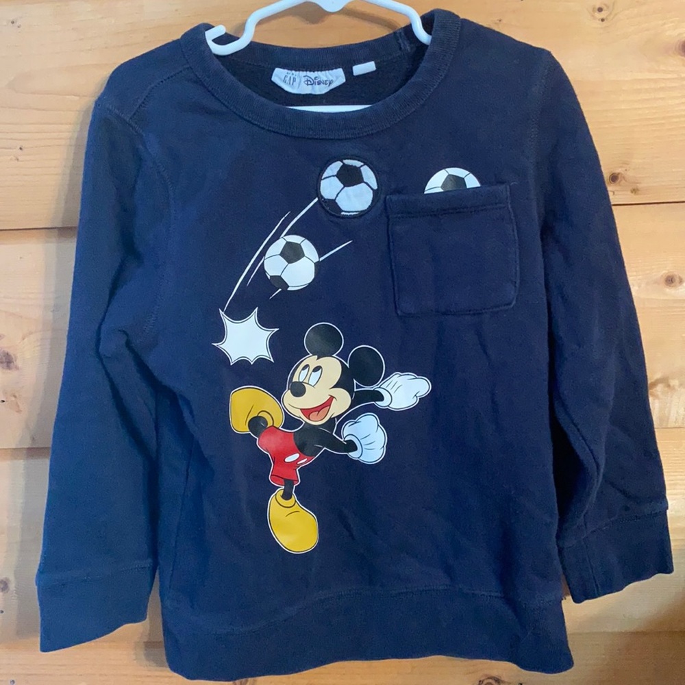 Gap Sweater (boy)